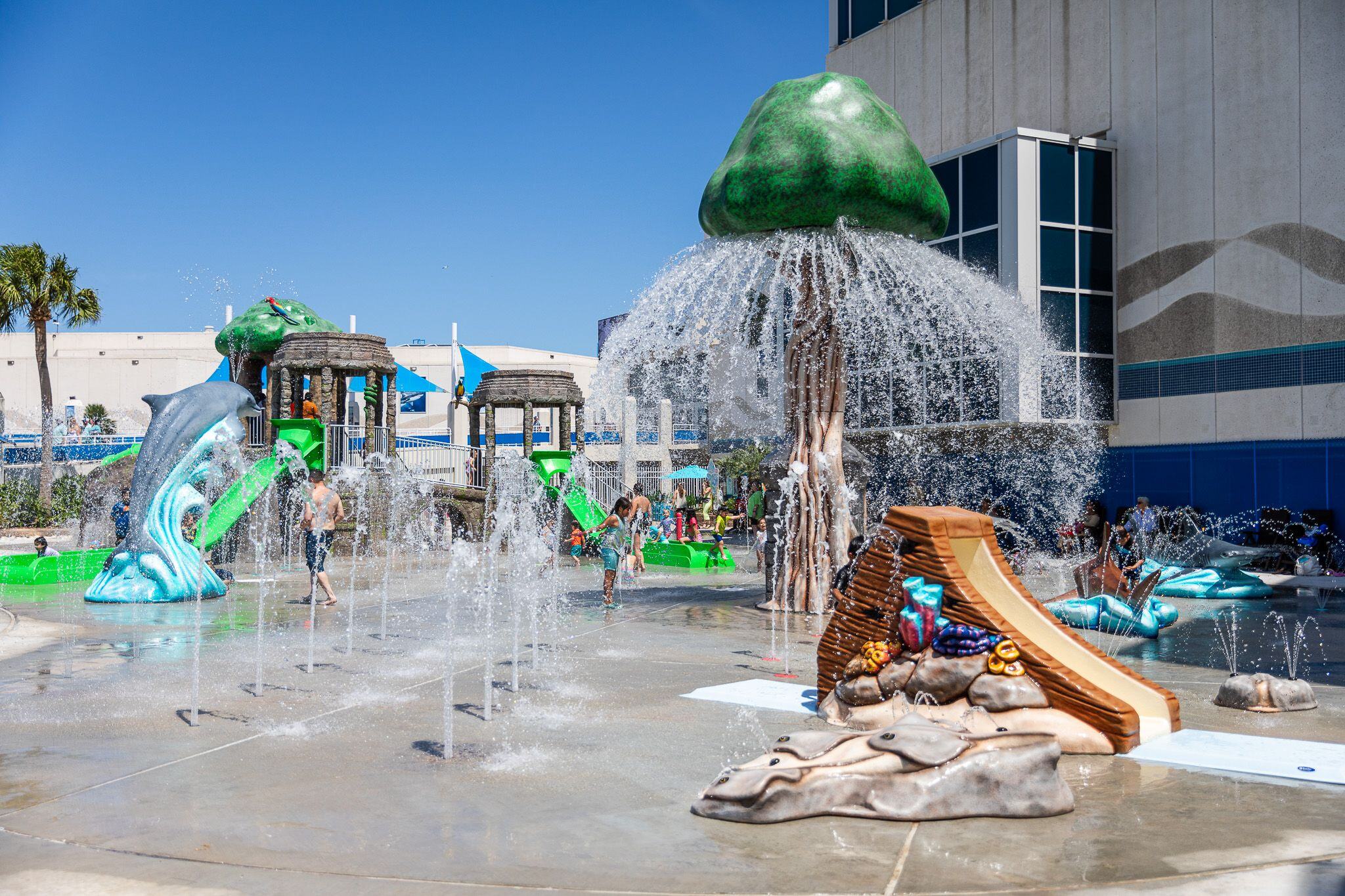 HEB Splash Park Texas State Aquarium